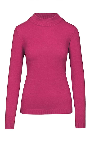 Ladies Knitted Turtle Neck Top