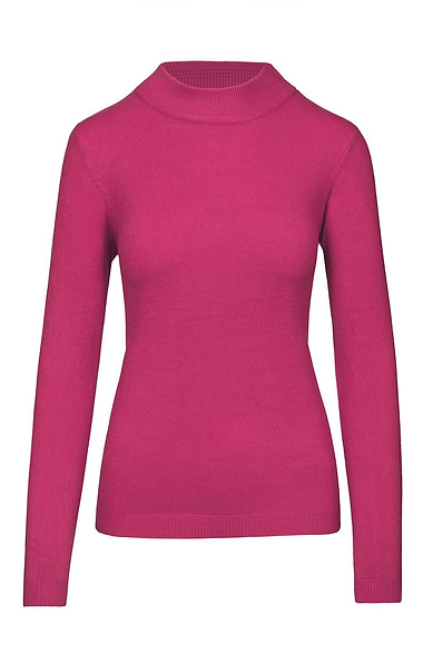 Ladies Knitted Turtle Neck Top