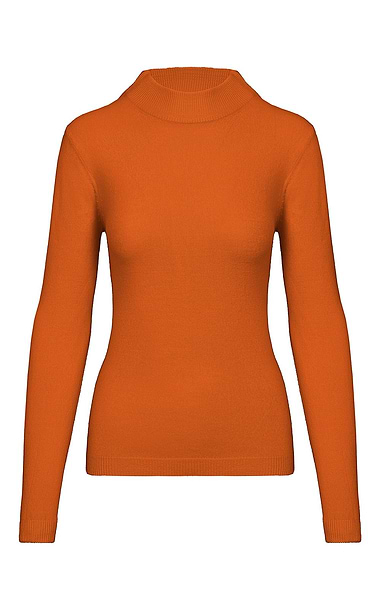 Ladies Knitted Turtle Neck Top