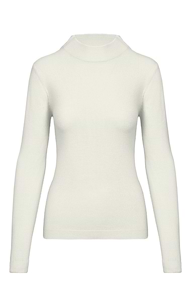 Ladies Knitted Turtle Neck Top