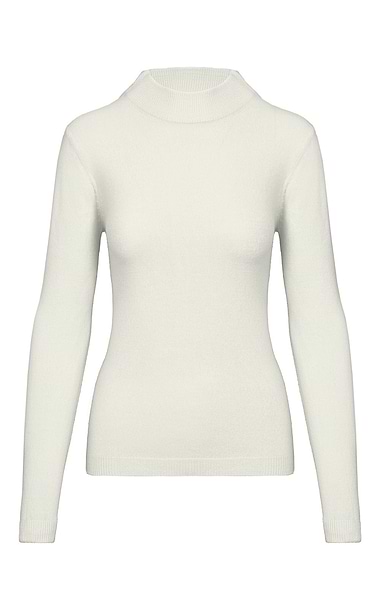 Ladies Knitted Turtle Neck Top