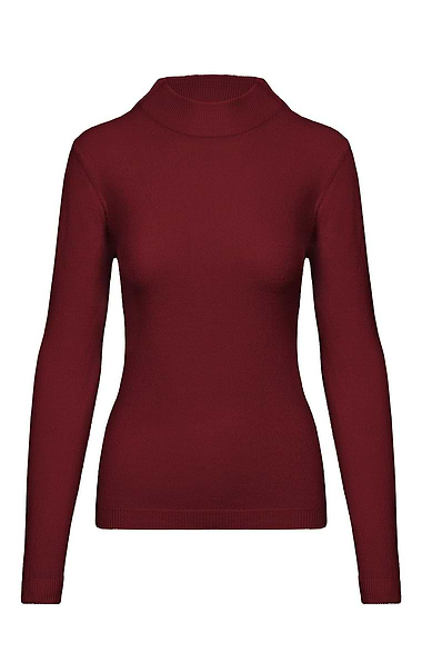 Ladies Knitted Turtle Neck Top