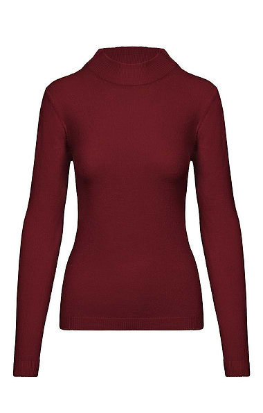Ladies Knitted Turtle Neck Top
