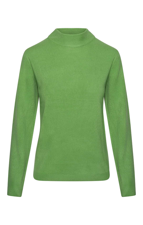 Ladies Knitted Turtle Neck Top