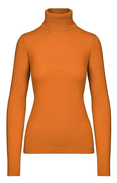 Ladies Cashmere Like Roll Neck Top