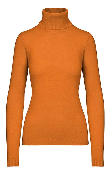 Ladies Cashmere Like Roll Neck Top