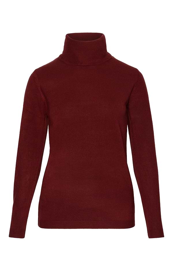 Ladies Cashmere Like Roll Neck Top