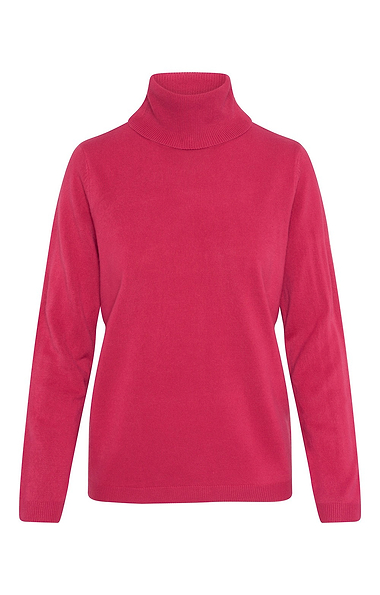 Ladies Cashmere Like Roll Neck Top