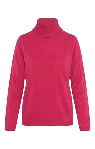 Ladies Cashmere Like Roll Neck Top