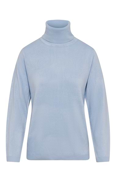 Ladies Cashmere Like Roll Neck Top