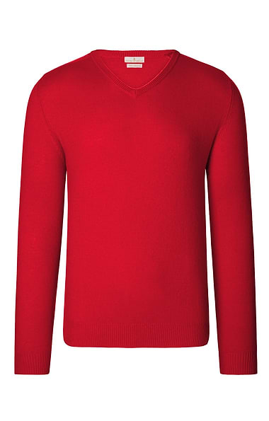 Men's 3 Ply Cashmere V Neck