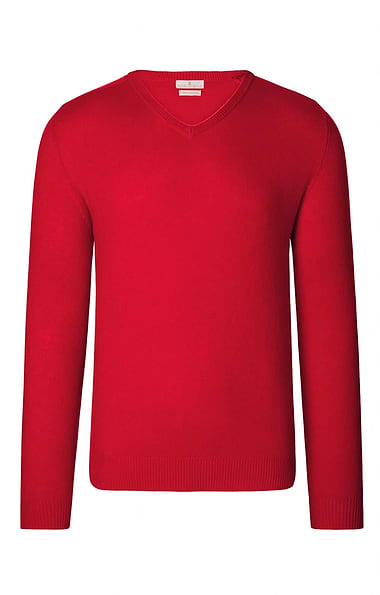 Men's 3 Ply Cashmere V Neck