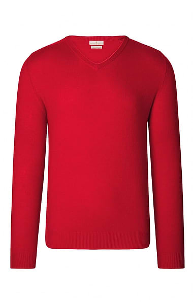 Men's 3 Ply Cashmere V Neck