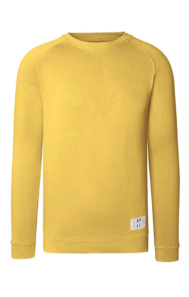 Men's Raglan Sleeve Sweater