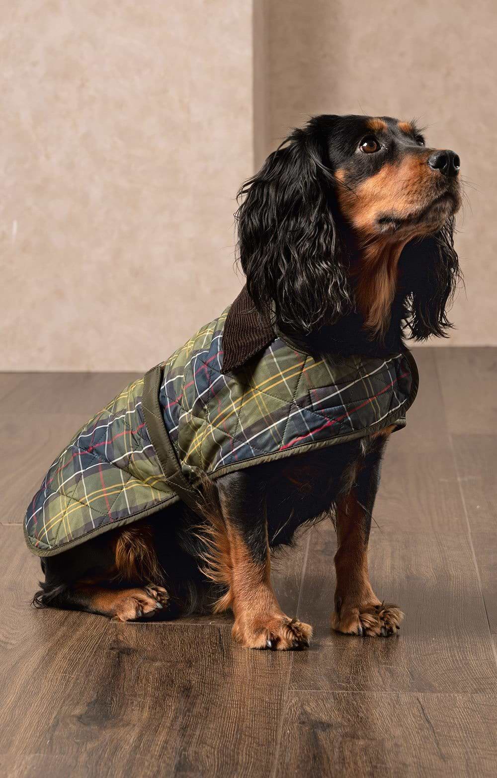 Barbour Wax Dog Coat - House of Bruar